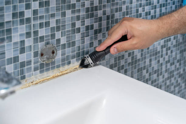 Best Residential Mold Remediation in Chester, MD